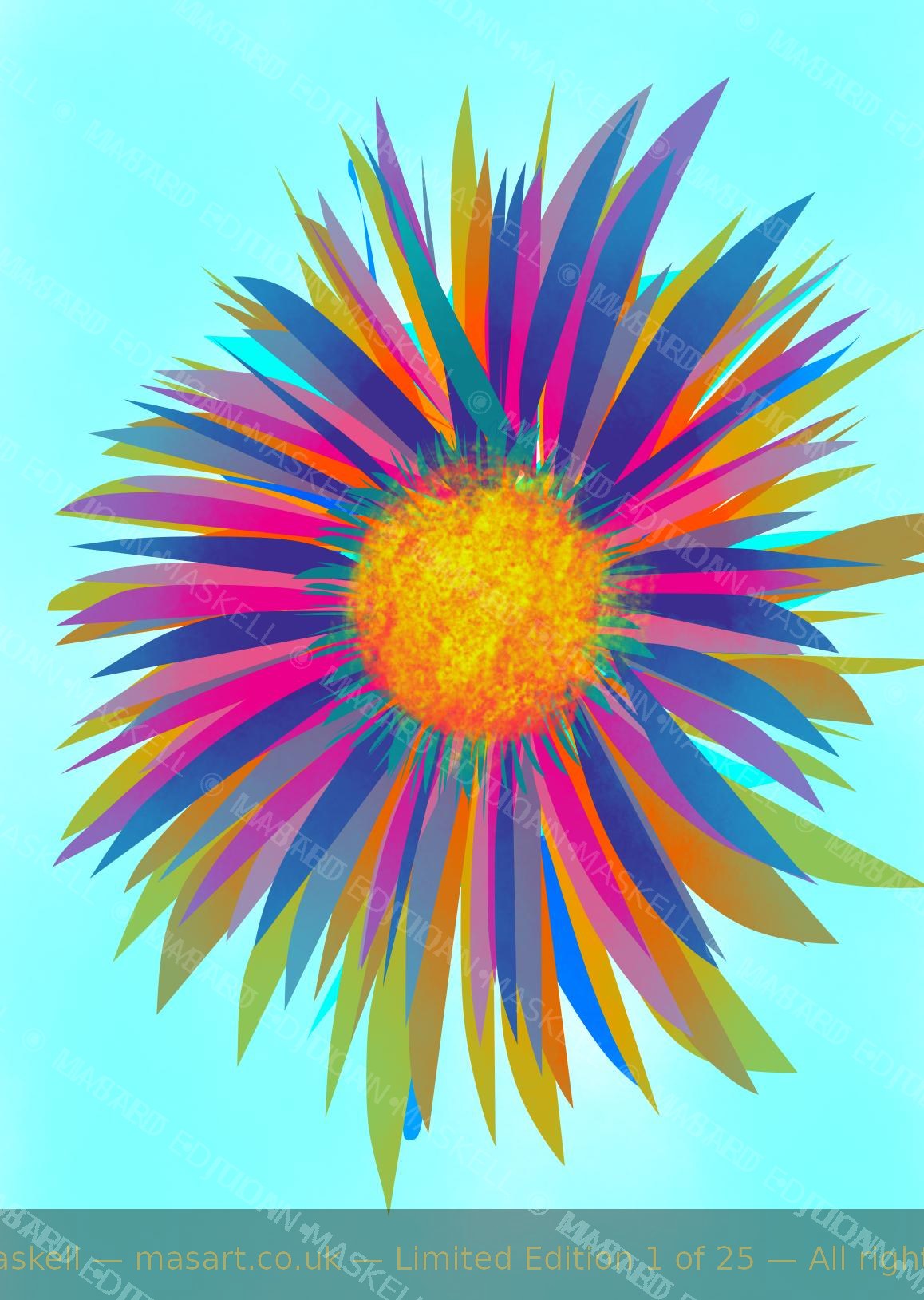 Summer Sun